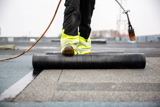 Best Metal Roofing Installation  in Bellevle, IL