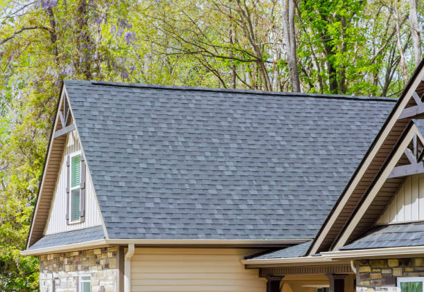 Best Roof Maintenance and Cleaning  in Bellevle, IL