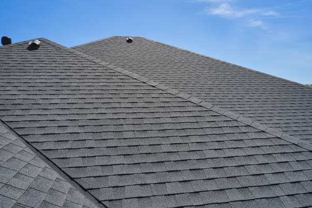 Best Skylight Installation and Repair  in Bellevle, IL